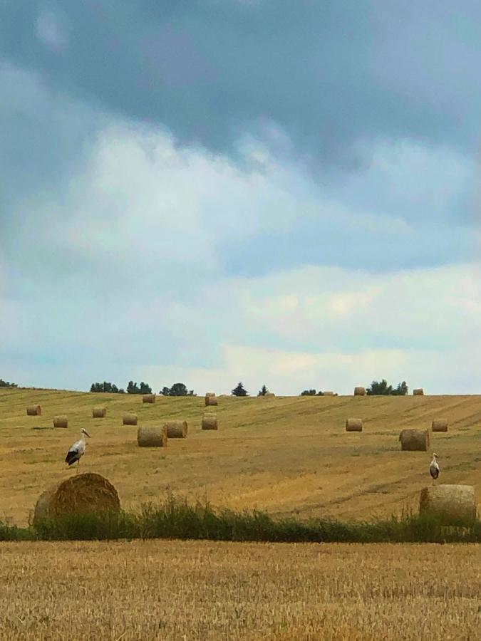 Agroturystyka „Nadbuzanski Swit” Wola Uhruska Экстерьер фото